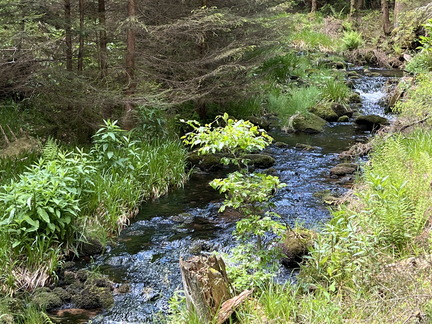 22-05-29 13-00-52 0971